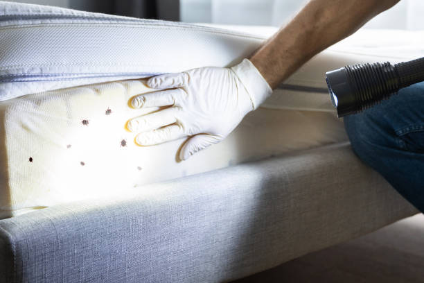 Best Exterminator Services  in Gardner, MA